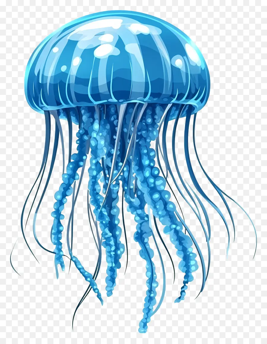 Medusas，Medusa Azul PNG