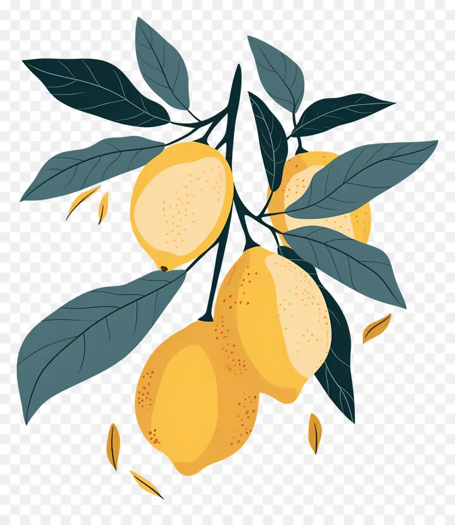 Limones Con Hojas，Limones Amarillos PNG