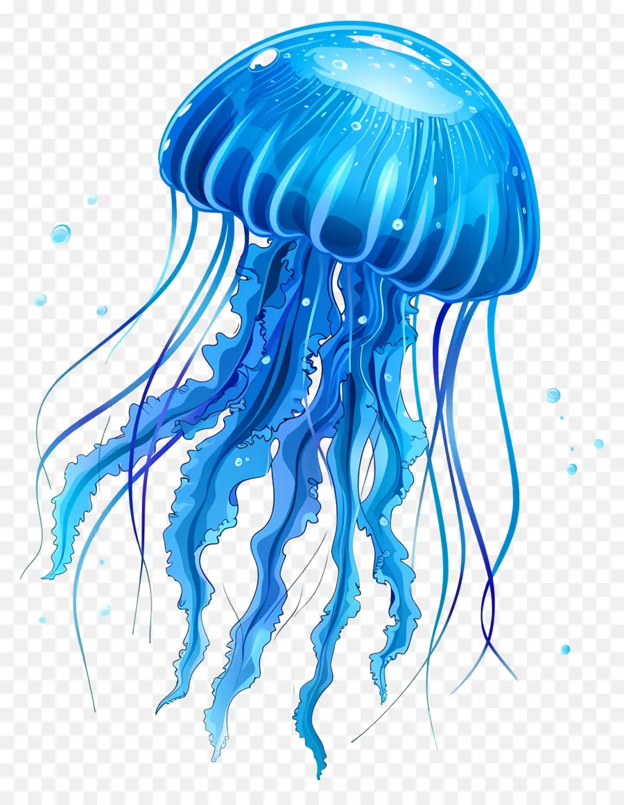 Medusas，Par De Medusas Azules PNG