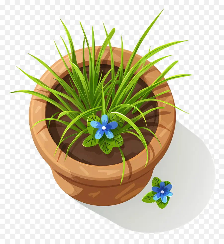 Vista Superior De Las Plantas，Planta En Maceta Con Flor Azul PNG