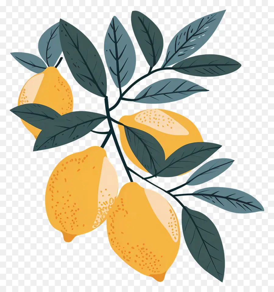 Limones Con Hojas，Limones PNG