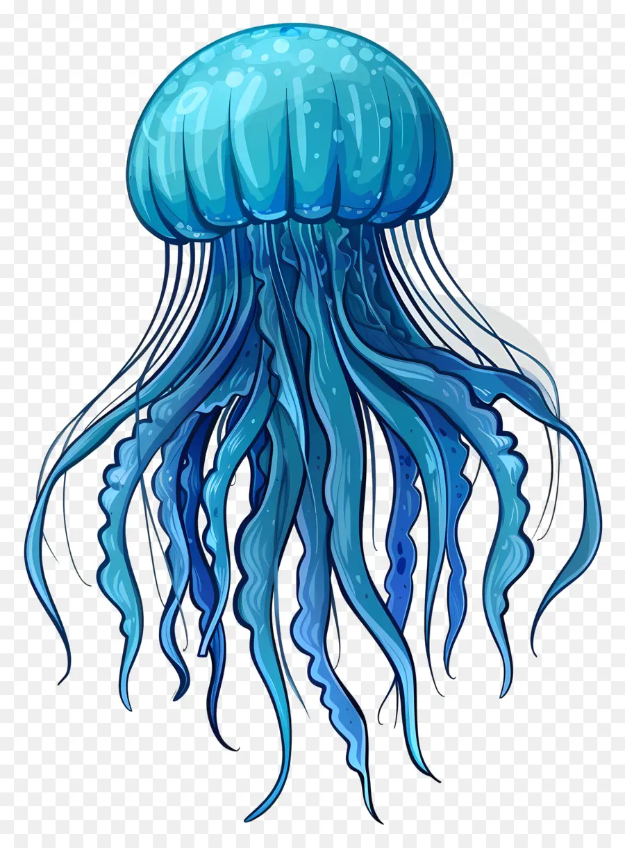 Medusas，Par De Medusas Azules PNG