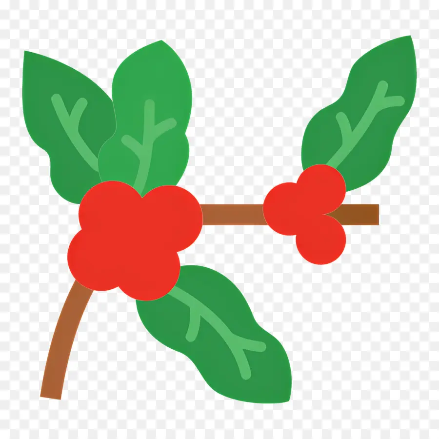 Planta De Cafe，Frutos Rojos PNG