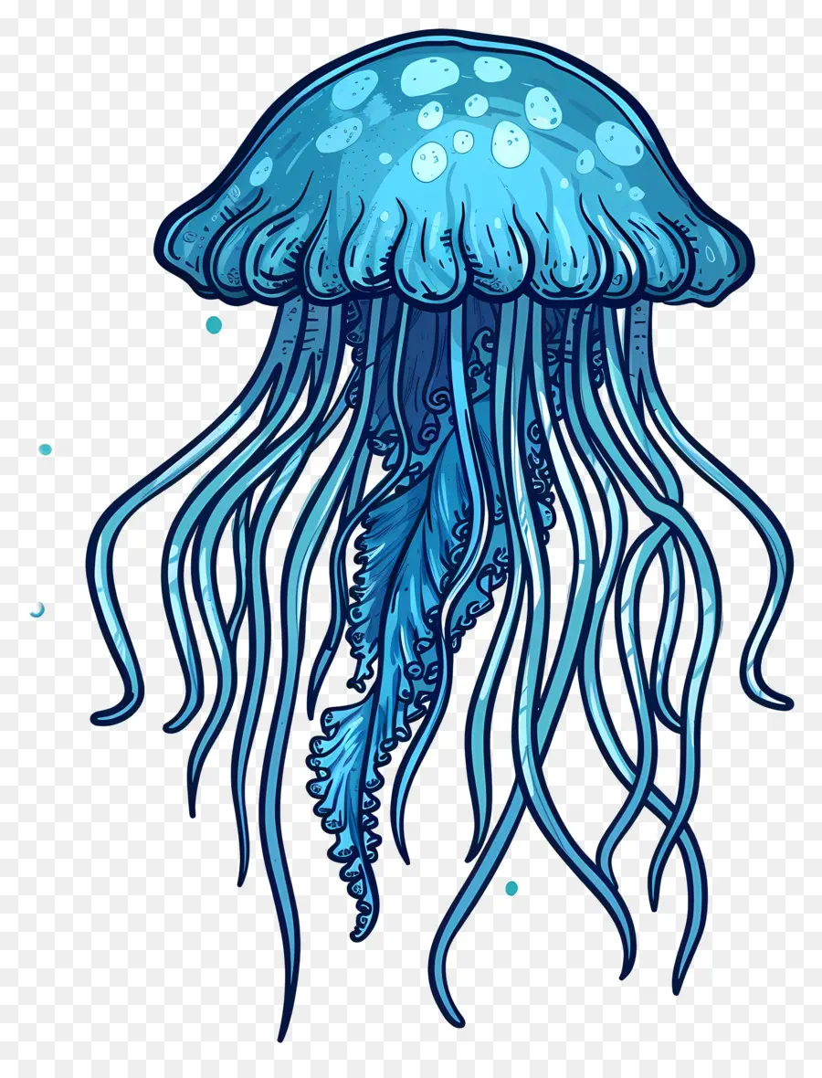 Medusas，Par De Medusas Azules PNG