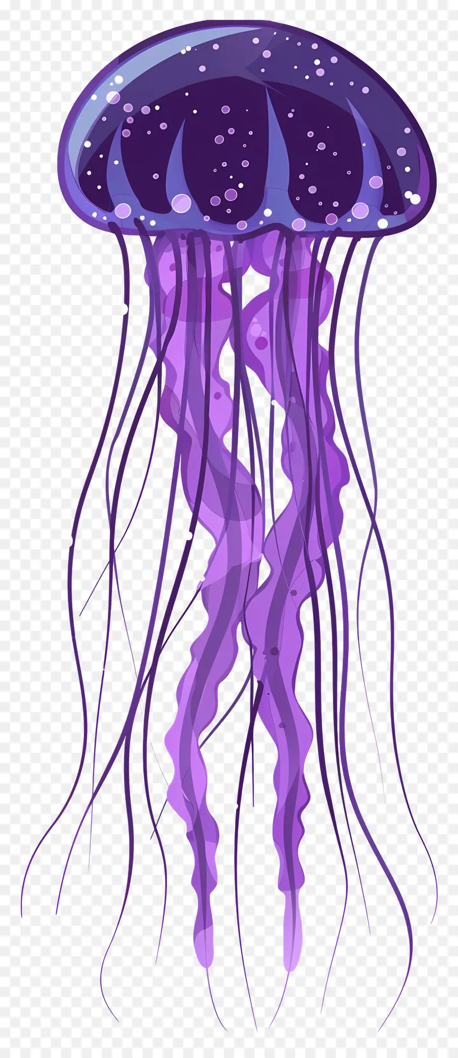 Medusas，Medusa Morada PNG