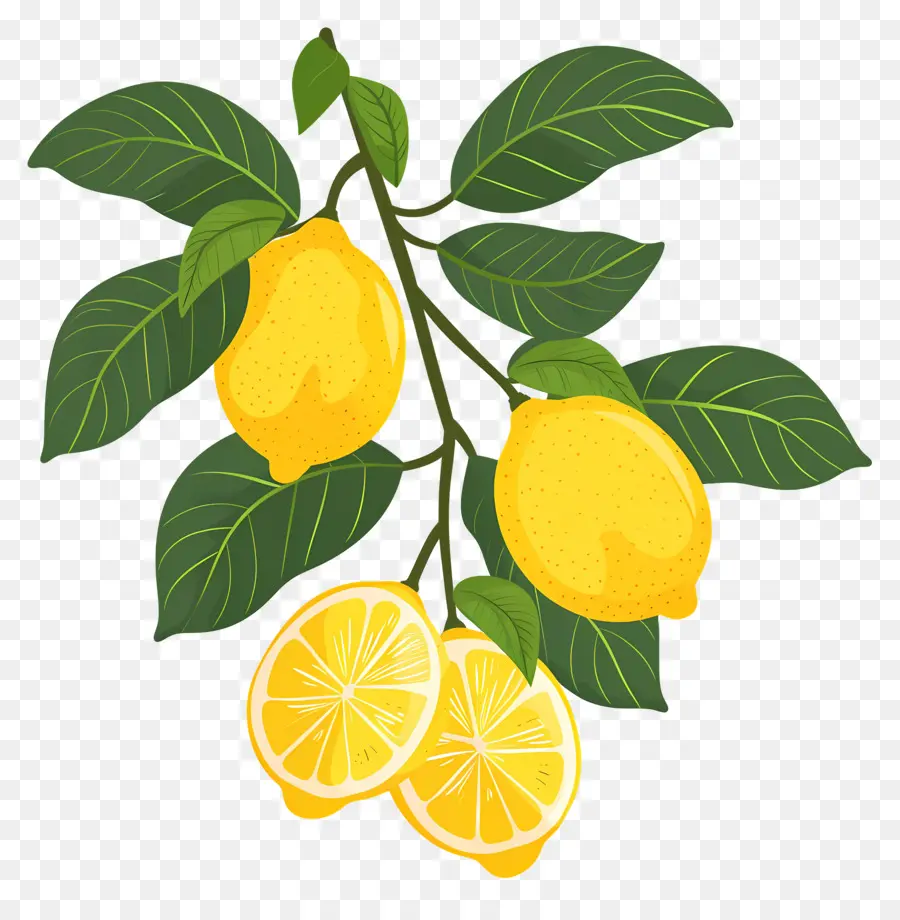 Limones Con Hojas，Limones PNG