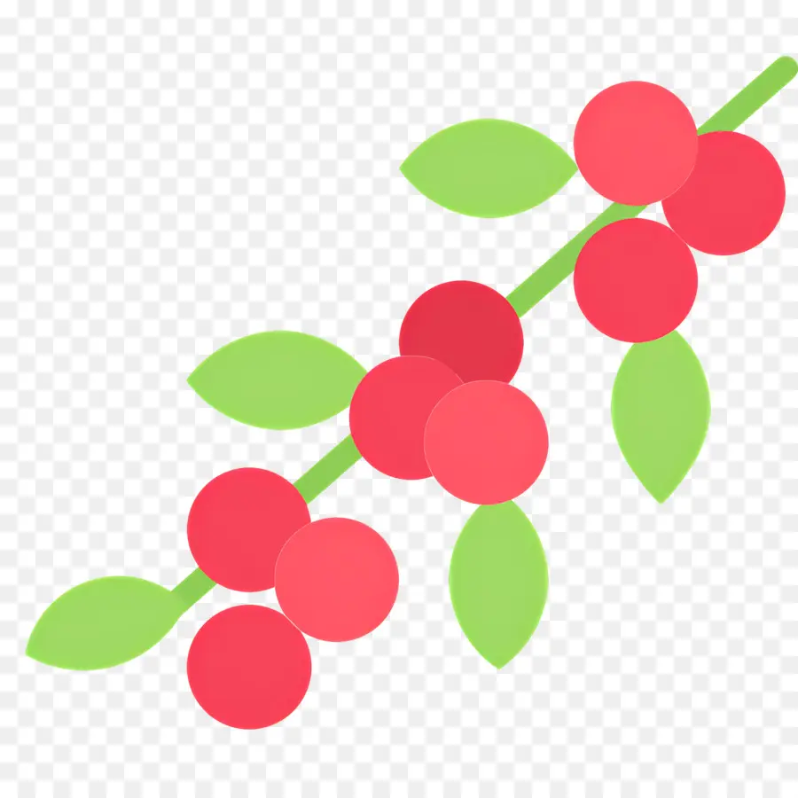 Planta De Cafe，Frutos Rojos PNG