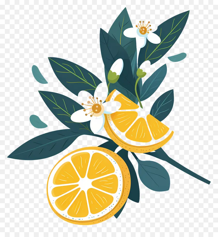 Limones Con Hojas，Limon Y Flores PNG