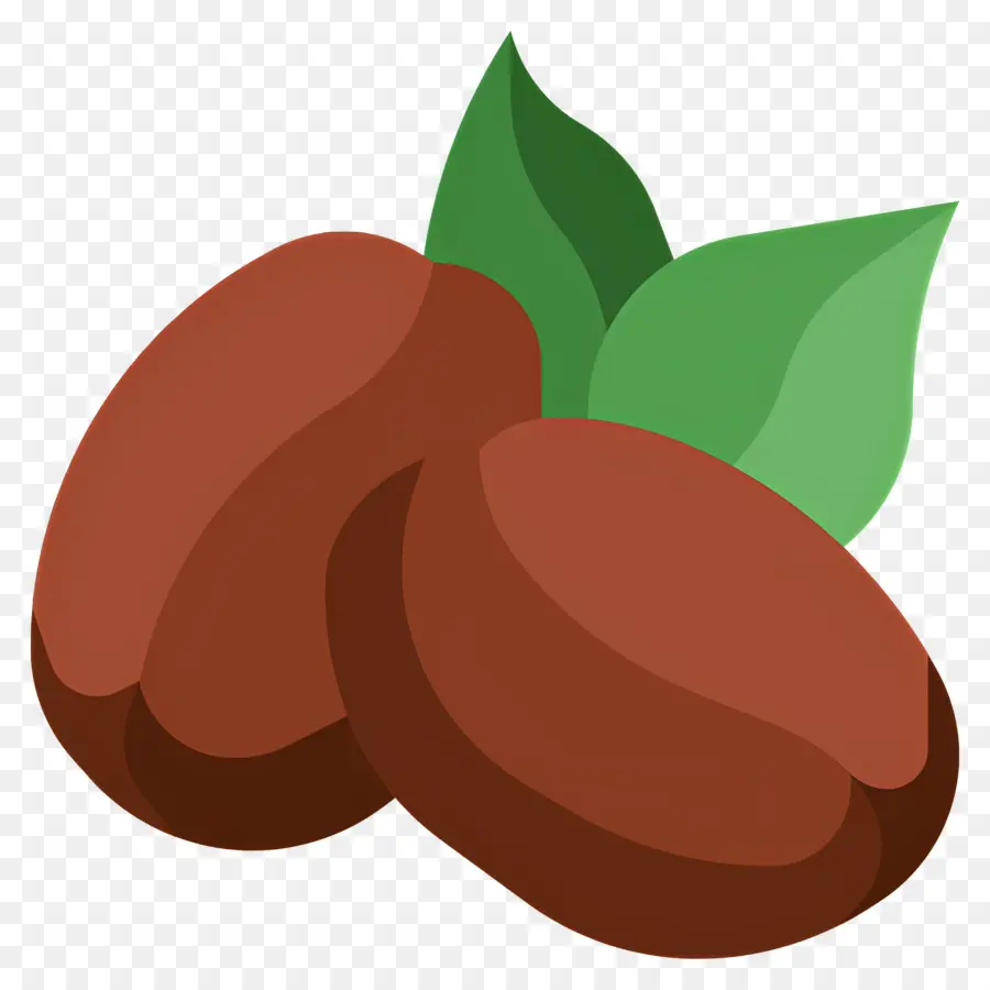 Semilla De Cafe，Granos De Café Con Hojas PNG