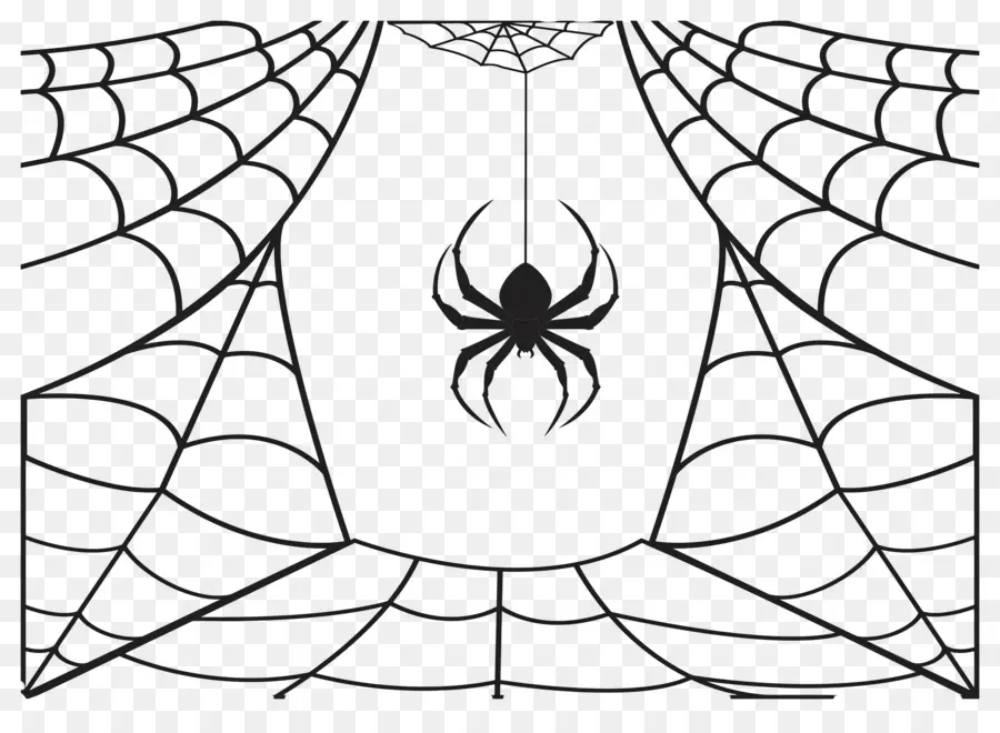 Telaraña De Halloween，Araña En La Web PNG