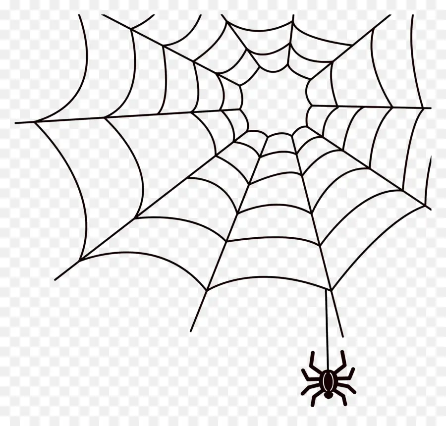 Telaraña De Halloween，Telaraña PNG