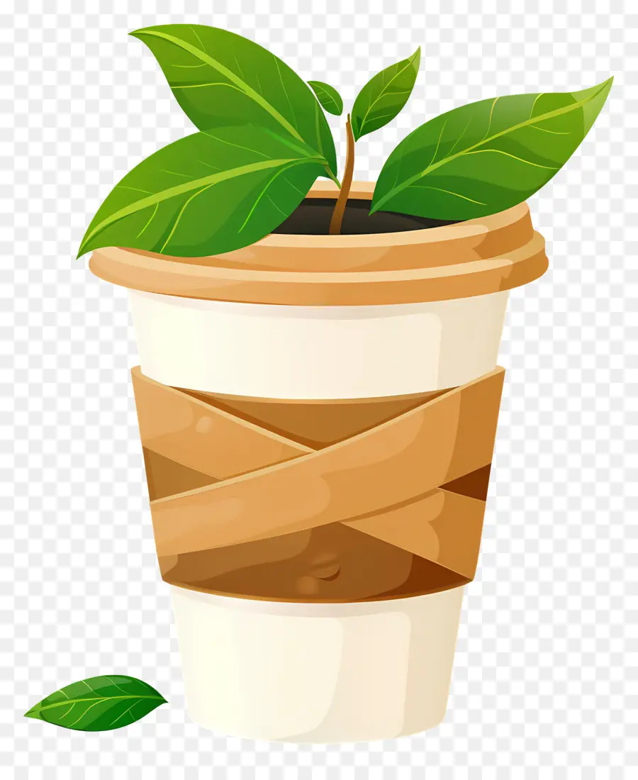 Taza Ecologica，Planta En Taza De Café PNG