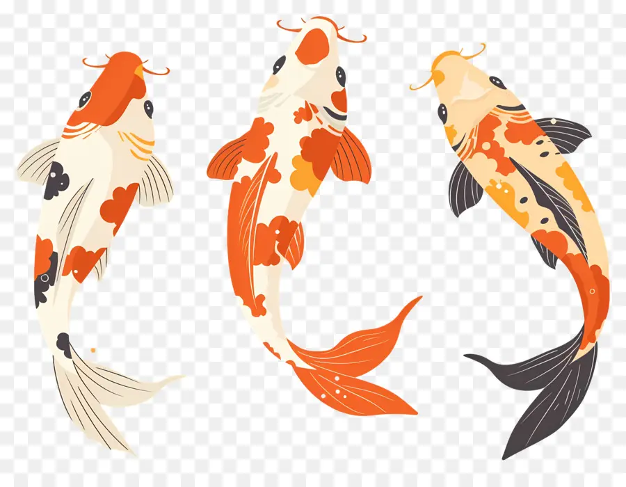 Pez Koi，Tres Peces Koi Detallados PNG