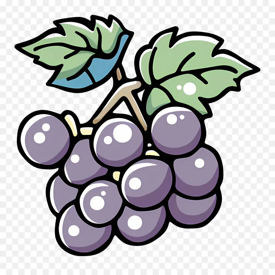 Uvas，Enredadera PNG