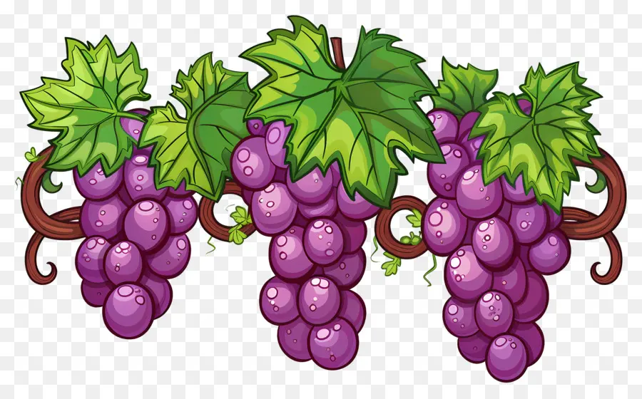 Uvas，Uvas Moradas PNG