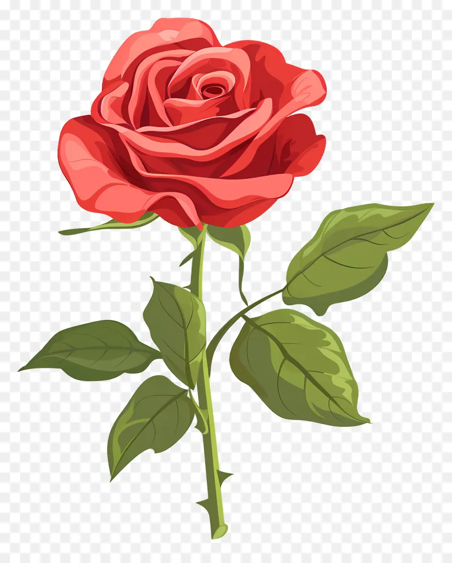 Rosa Roja，Romance PNG