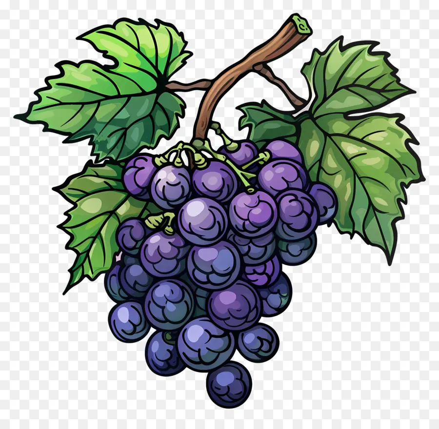 Uvas，Uvas Moradas PNG