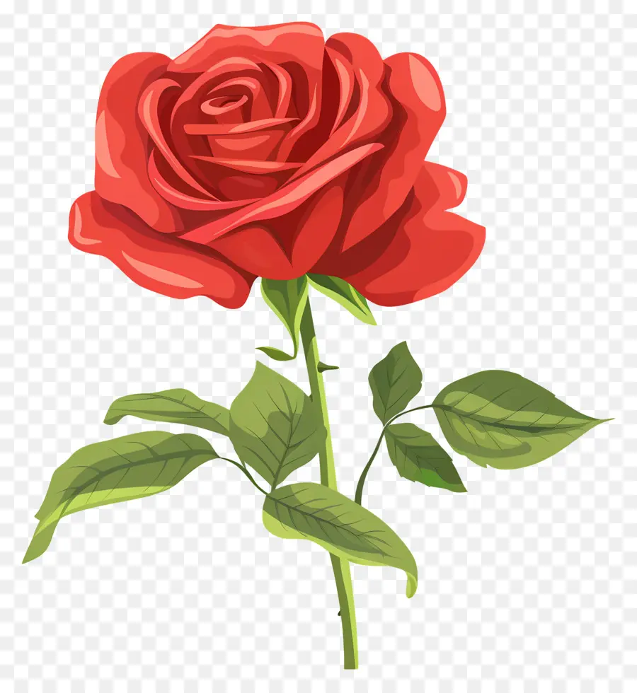 Rosa Roja，Romance PNG