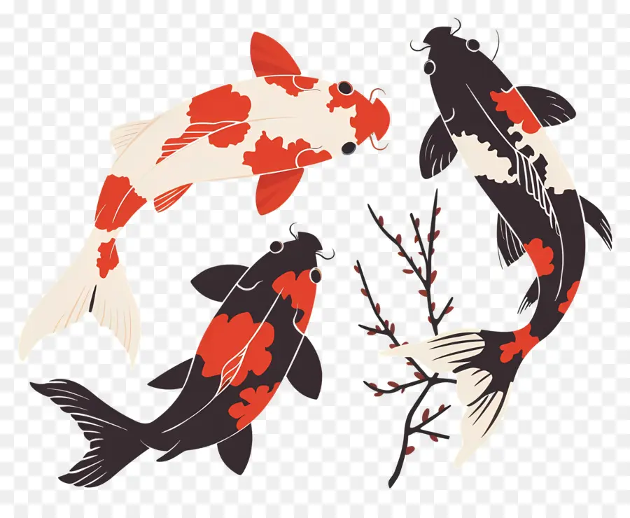 Pez Koi，Tres Peces Koi Detallados PNG