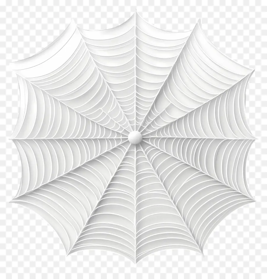 Telaraña，Telaraña Blanca PNG