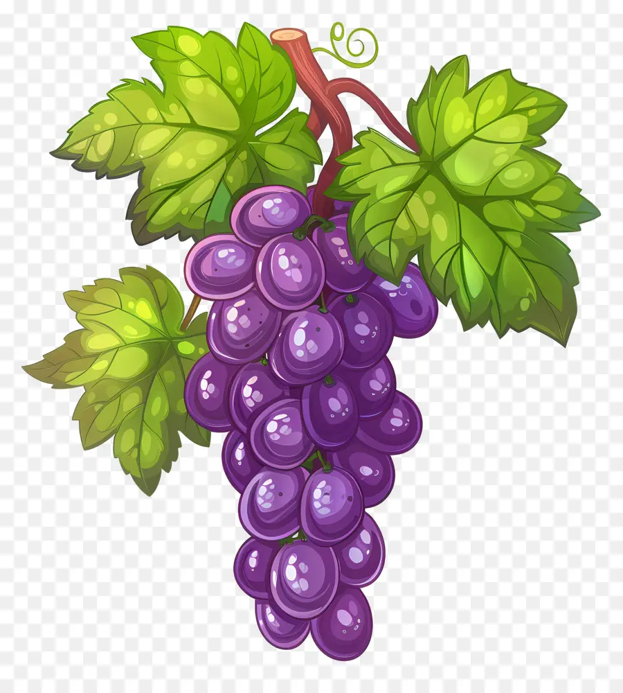 Uvas，Uvas Moradas PNG