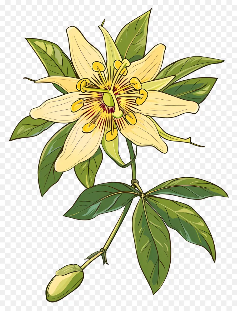 Flor Floreciente，Flor Amarilla PNG