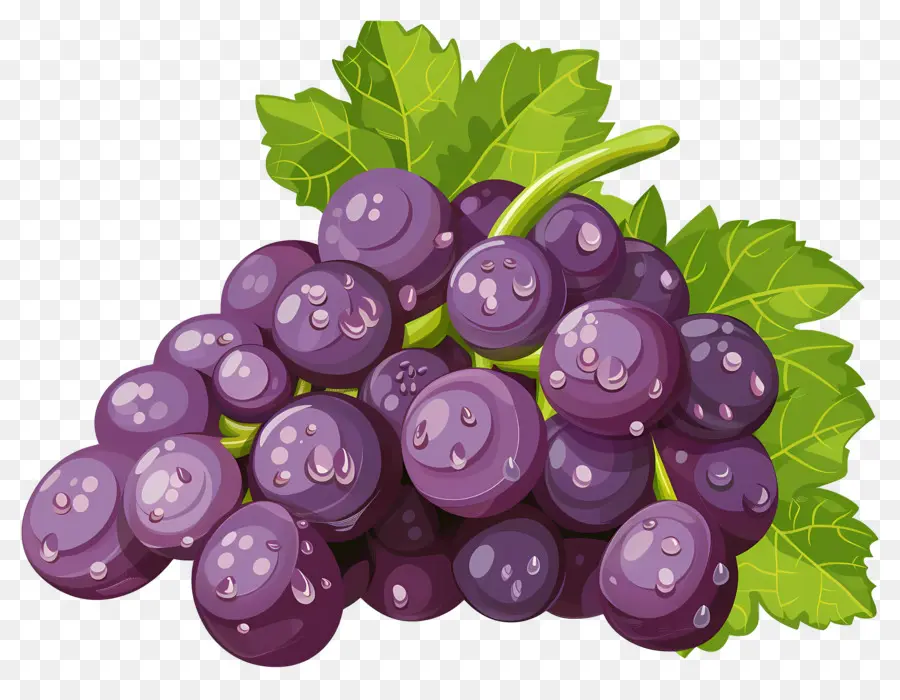 Uvas，Uvas Moradas PNG