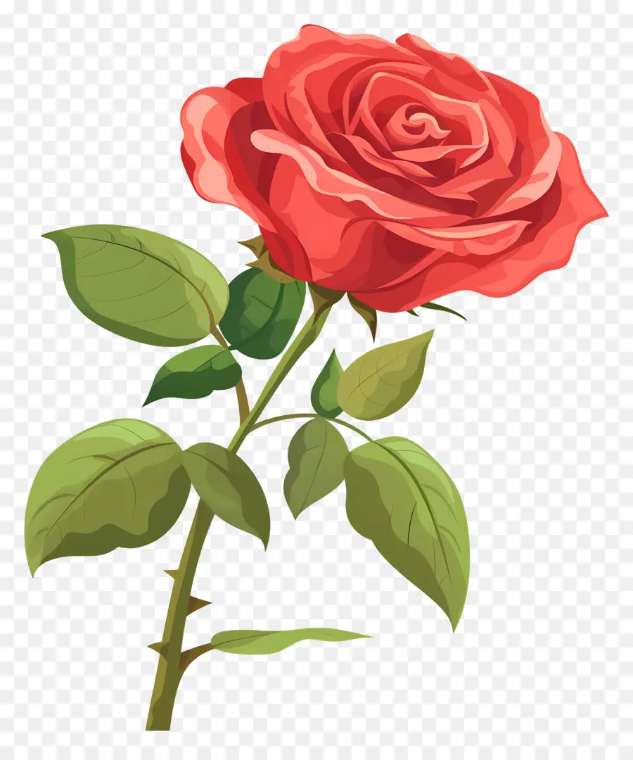 Rosa Roja，Romance PNG