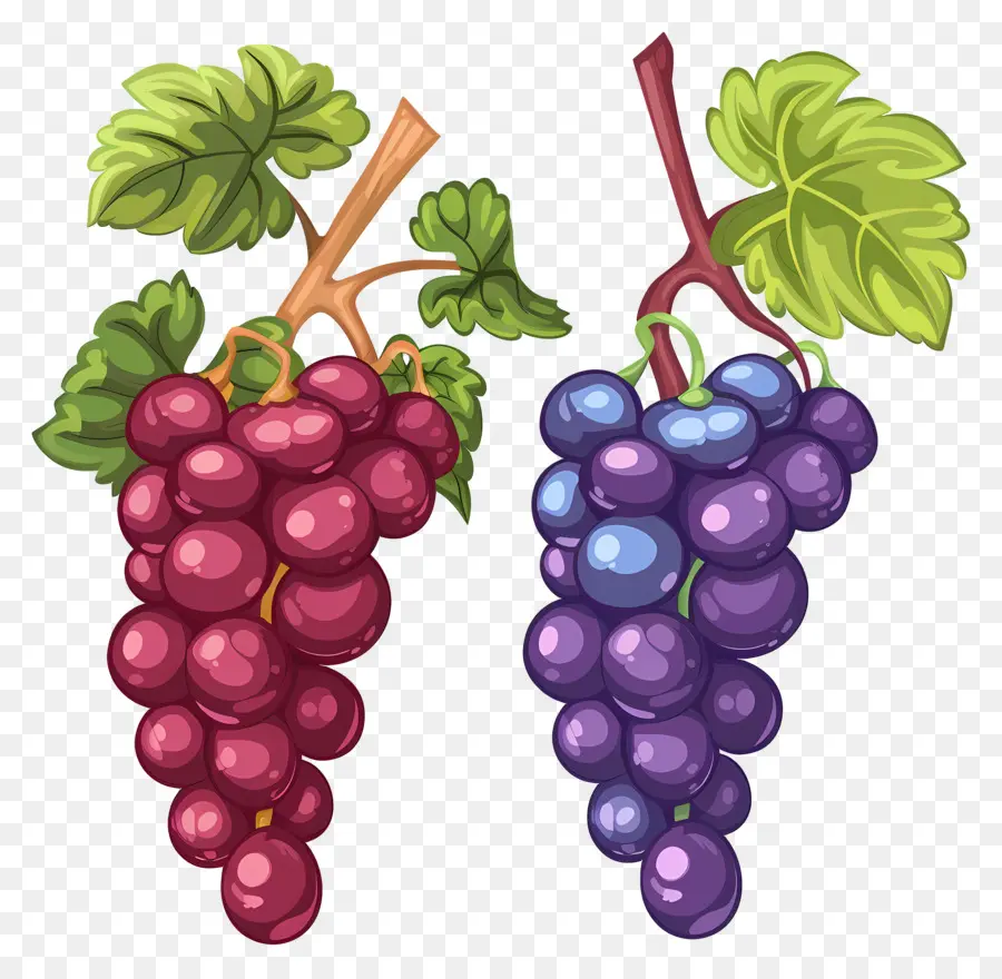 Uvas，Uvas Moradas PNG