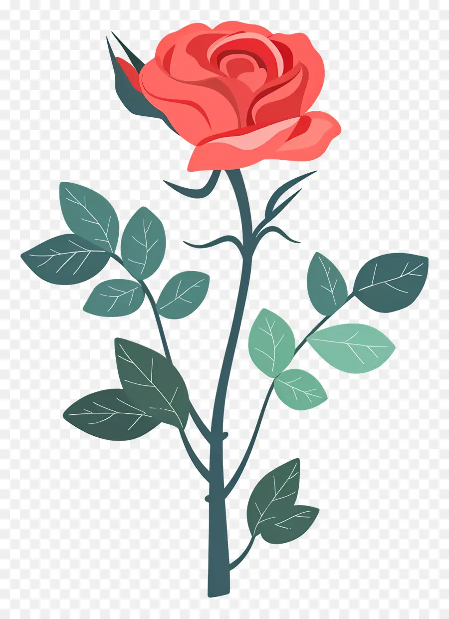 Rosa Roja，Romance PNG