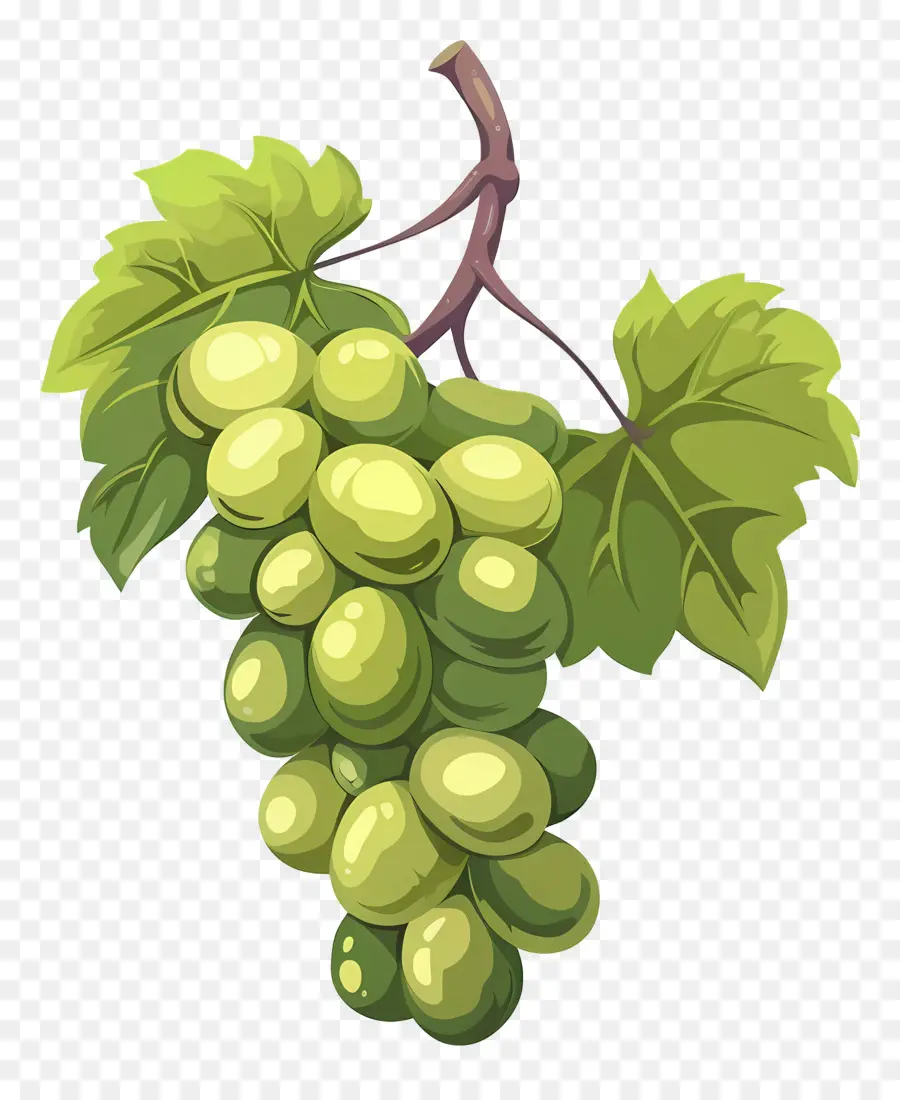 Uvas，Uvas Verdes PNG