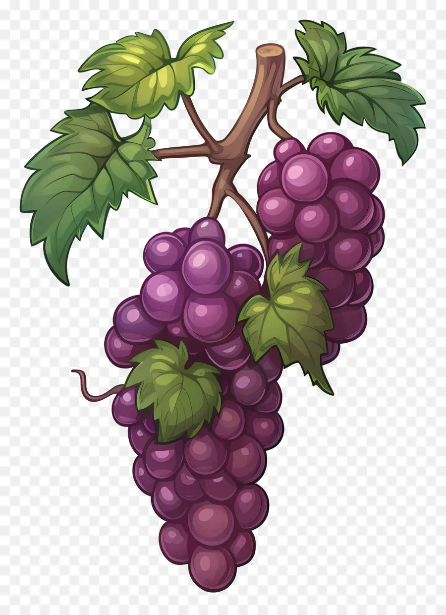 Uvas，Uvas Moradas PNG