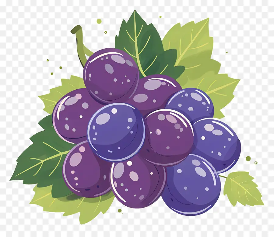 Uvas，Racimo PNG