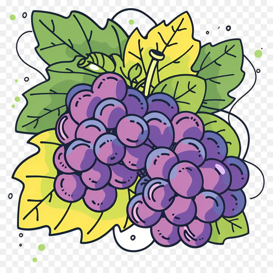 Uvas，Uvas Moradas PNG