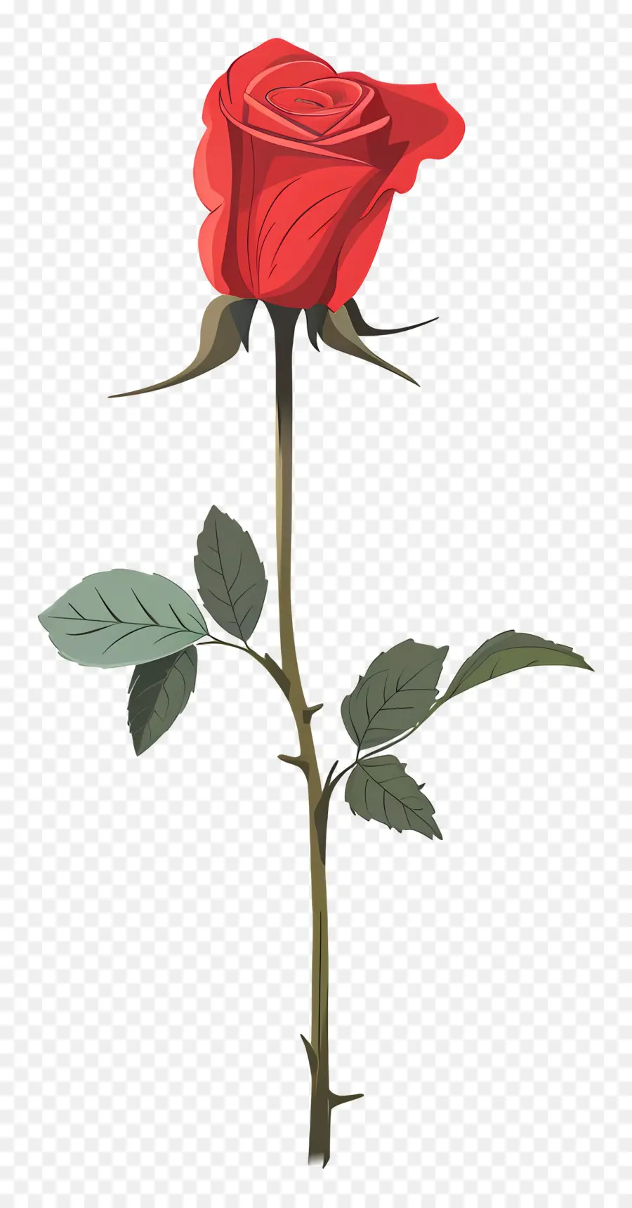 Rosa Roja，Provenir PNG