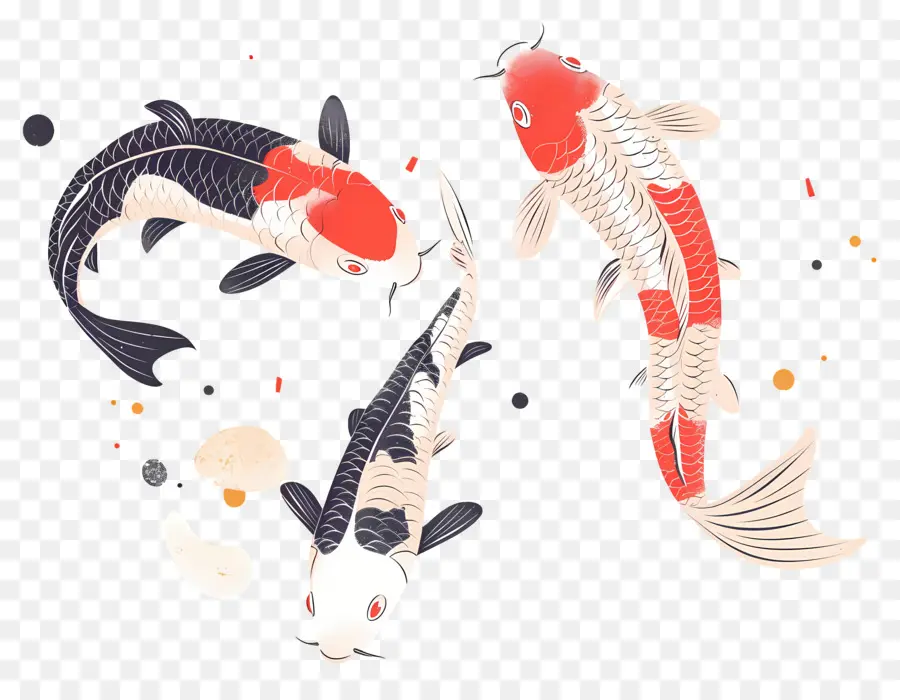 Pez Koi，Tres Peces Koi Detallados PNG