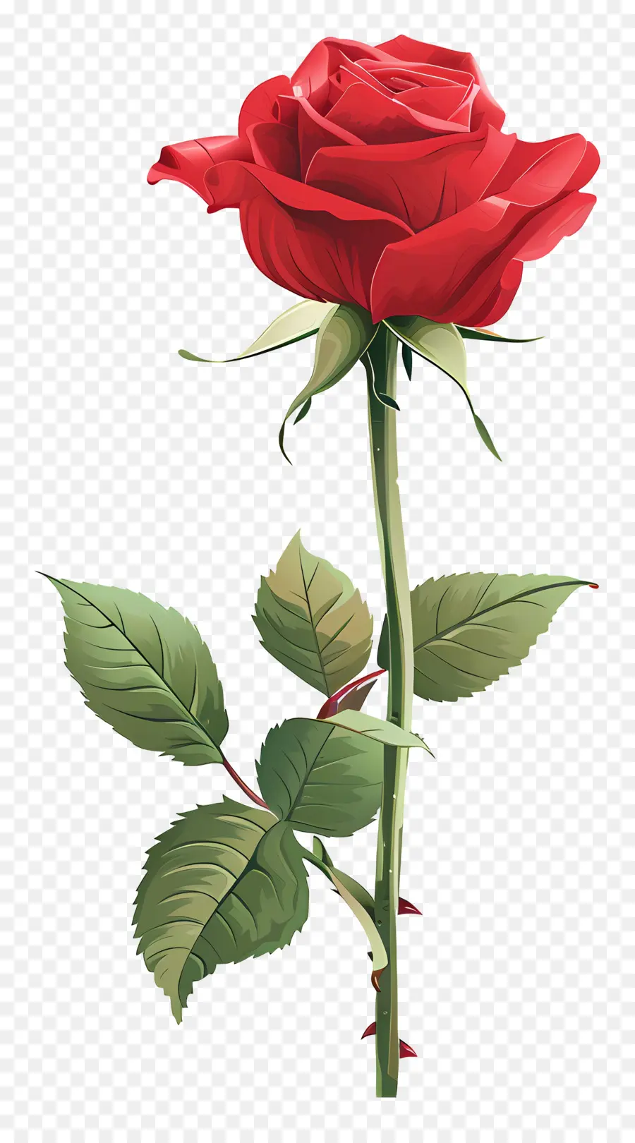 Rosa Roja，Provenir PNG