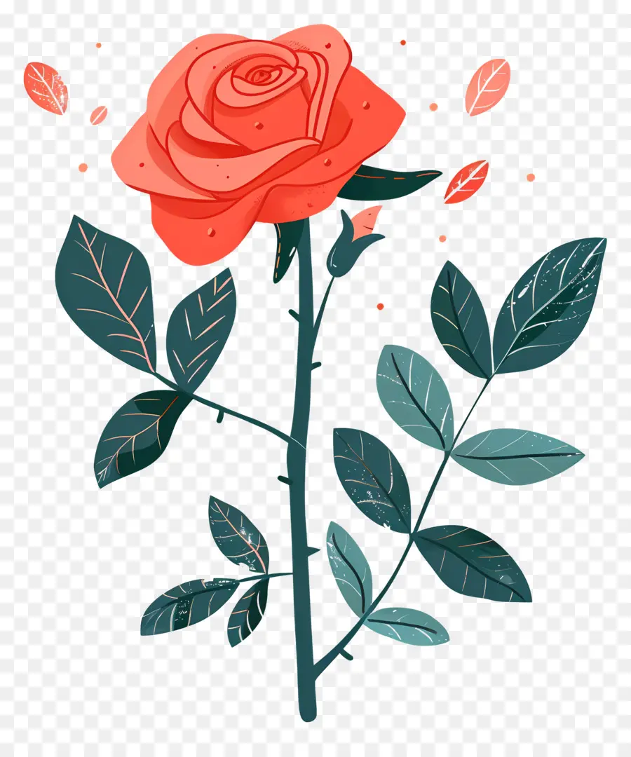 Rosa Roja，Romance PNG