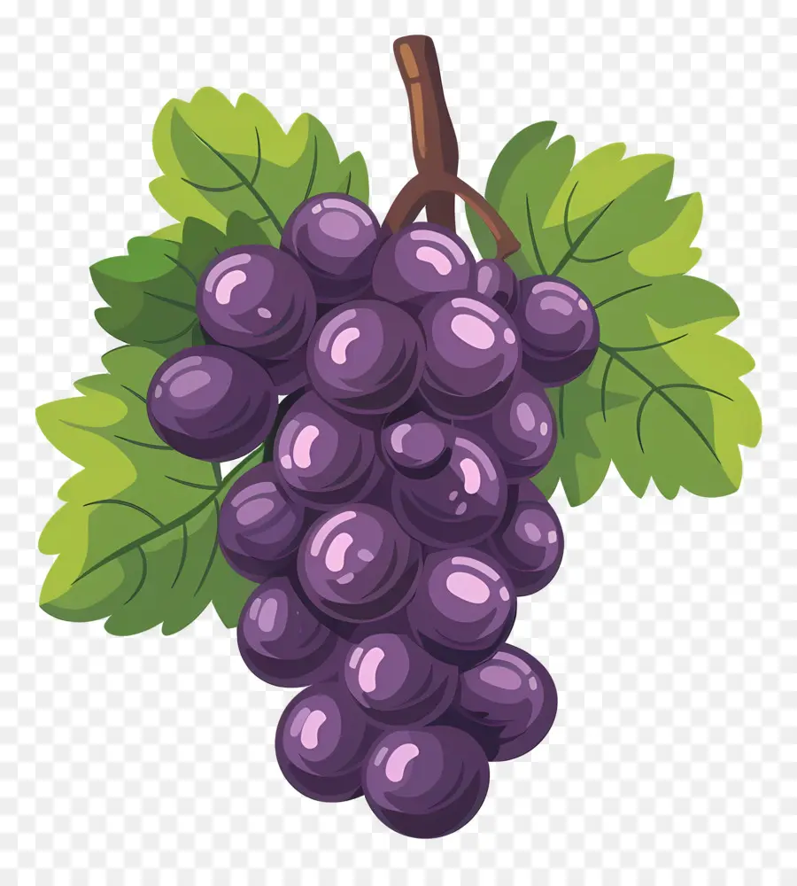 Uvas，Uvas Moradas PNG