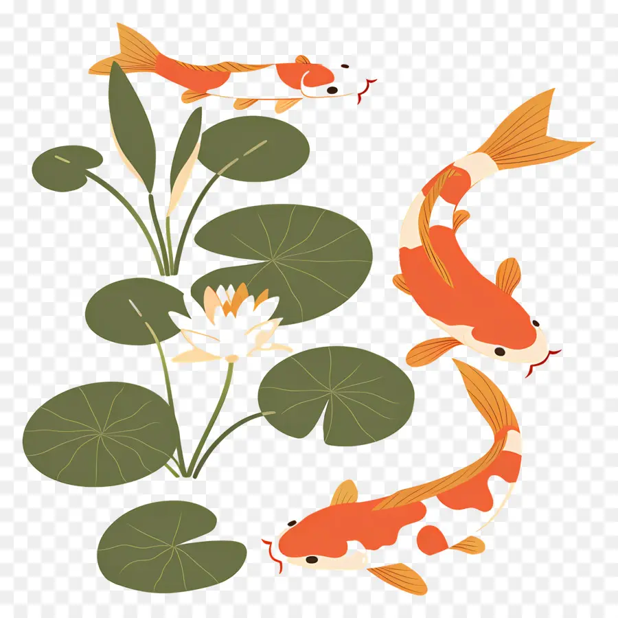 Pez Koi，Cuatro Peces Koi Con Lirios PNG