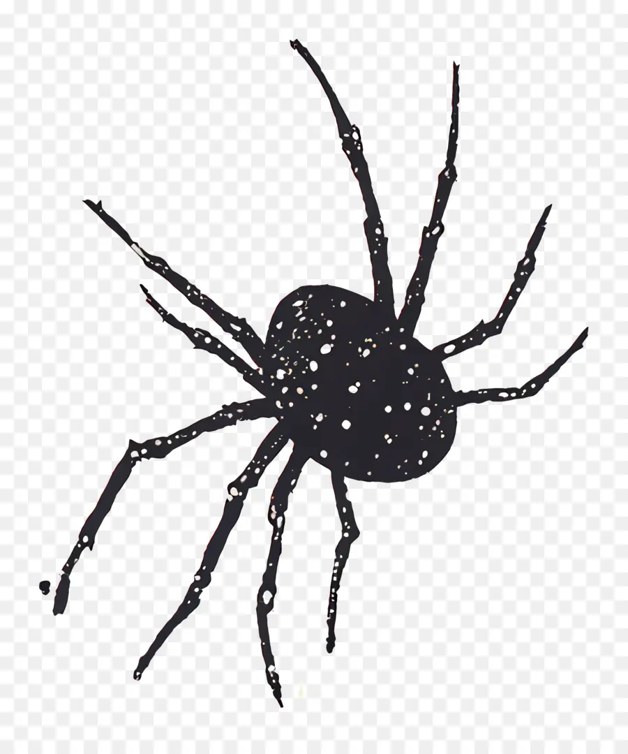 Telaraña，Araña Negra PNG