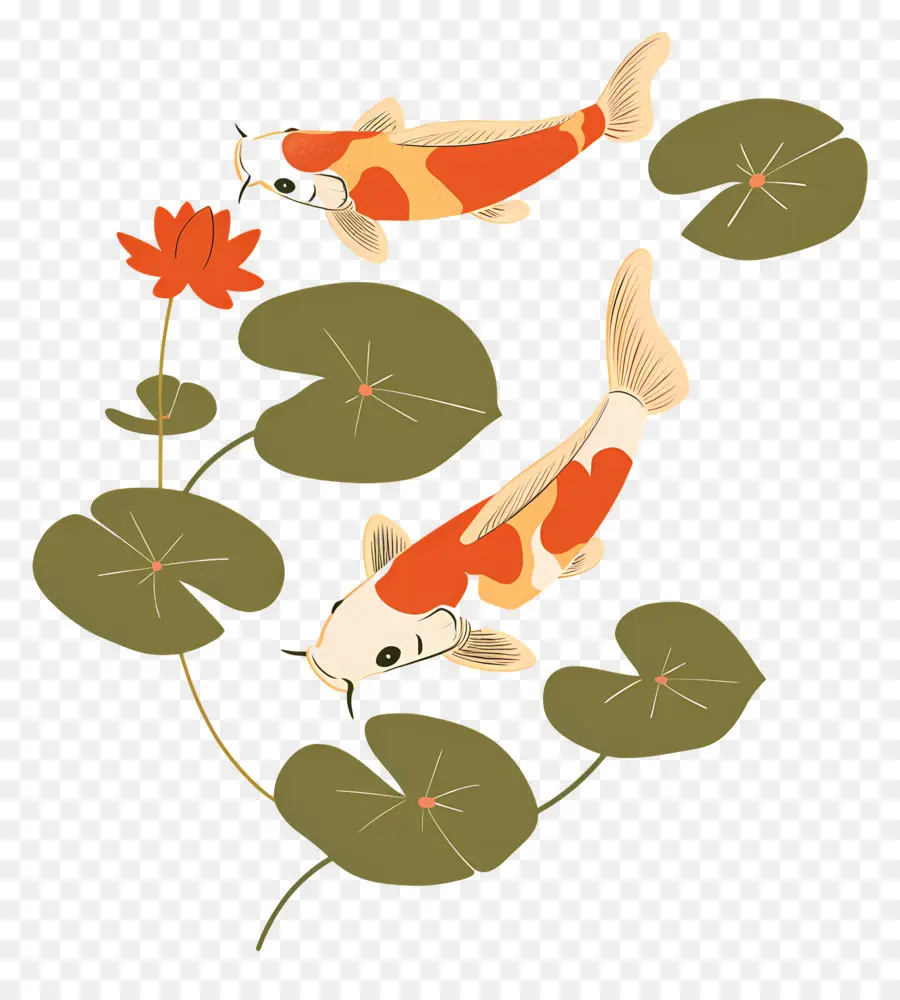 Pez Koi，Cuatro Peces Koi Con Lirios PNG