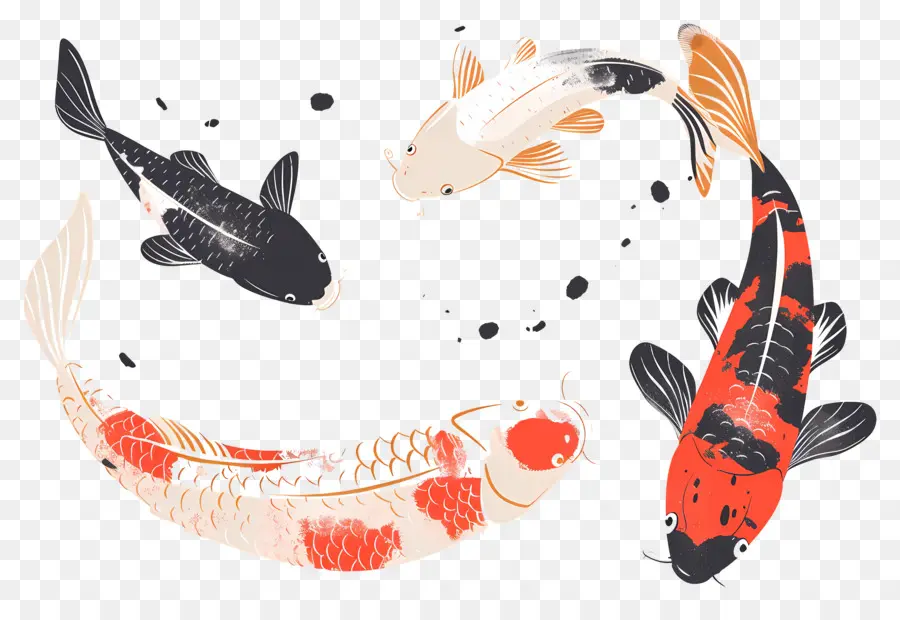 Pez Koi，Tres Peces Koi Detallados PNG