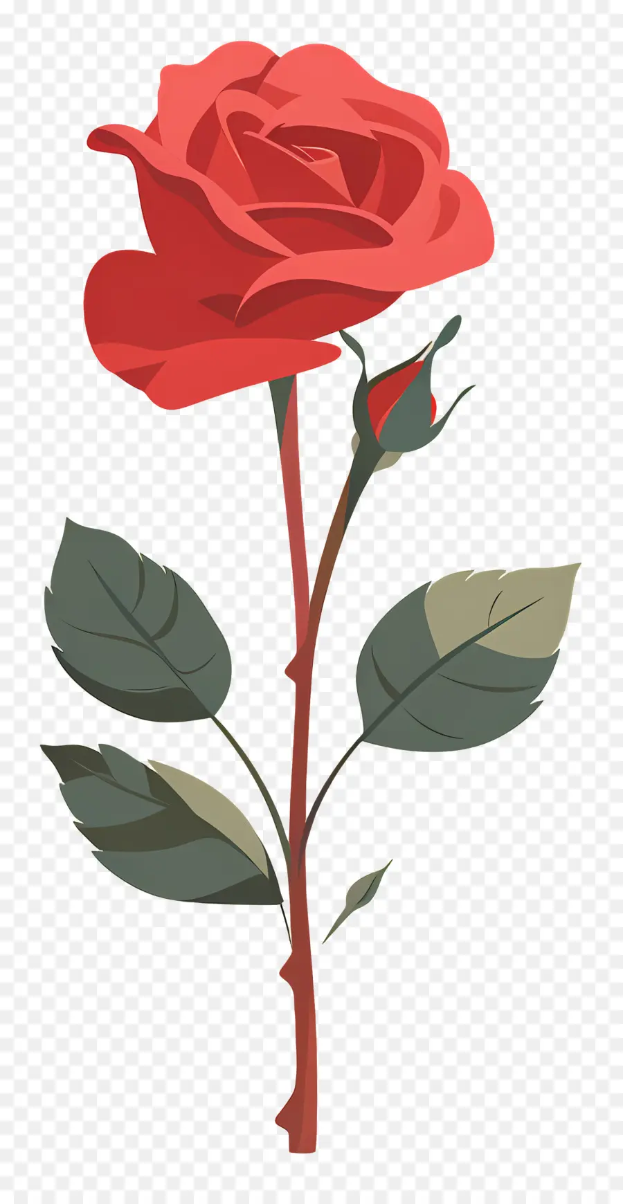 Rosa Roja，Romance PNG