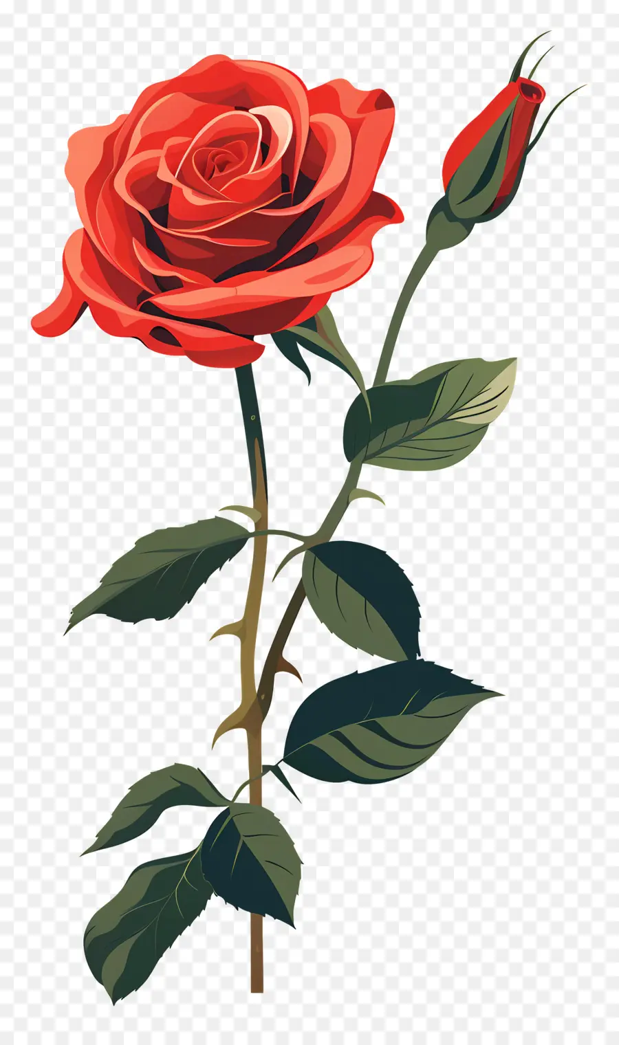 Rosa Roja，Romance PNG