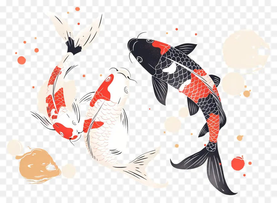 Pez Koi，Tres Peces Koi Detallados PNG