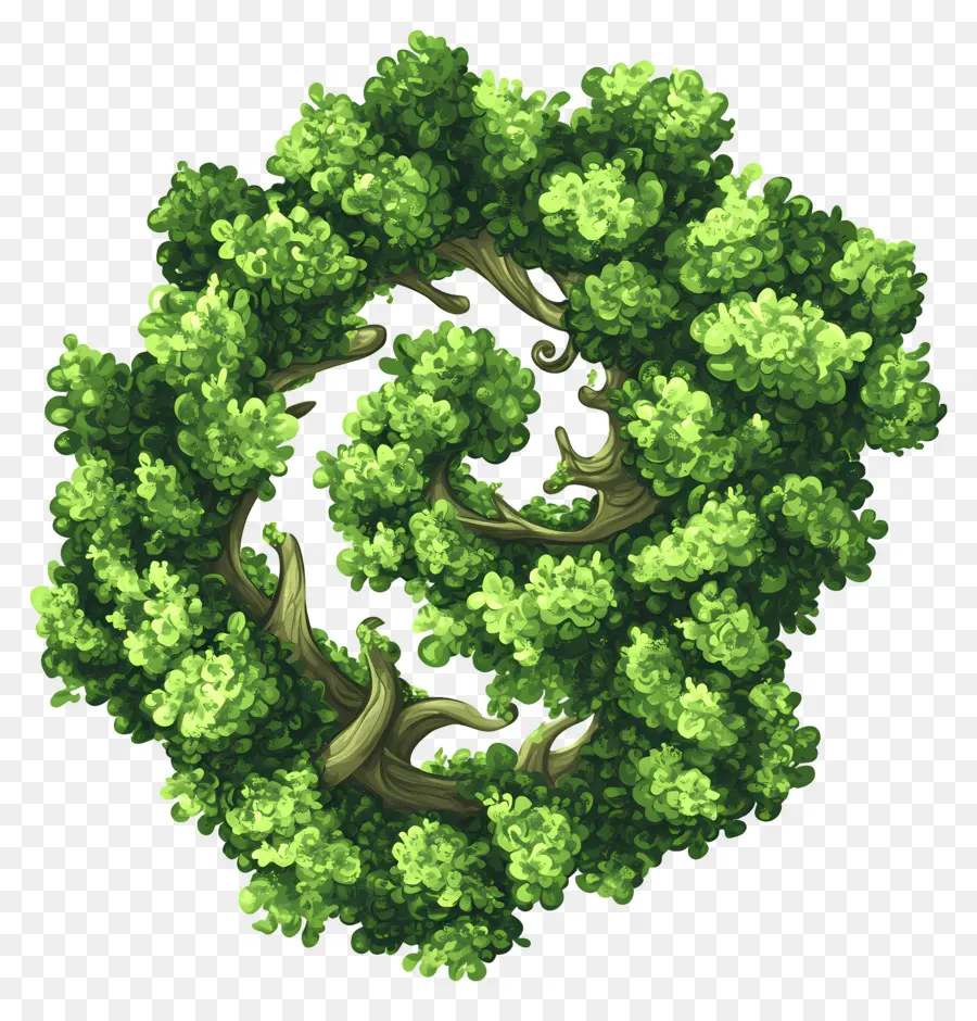 Plano De árbol，Dosel De árbol PNG