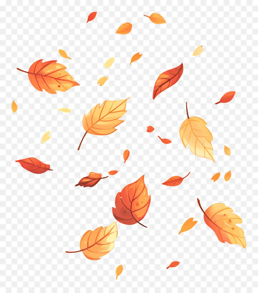 Hojas De Otoño，Hojas PNG