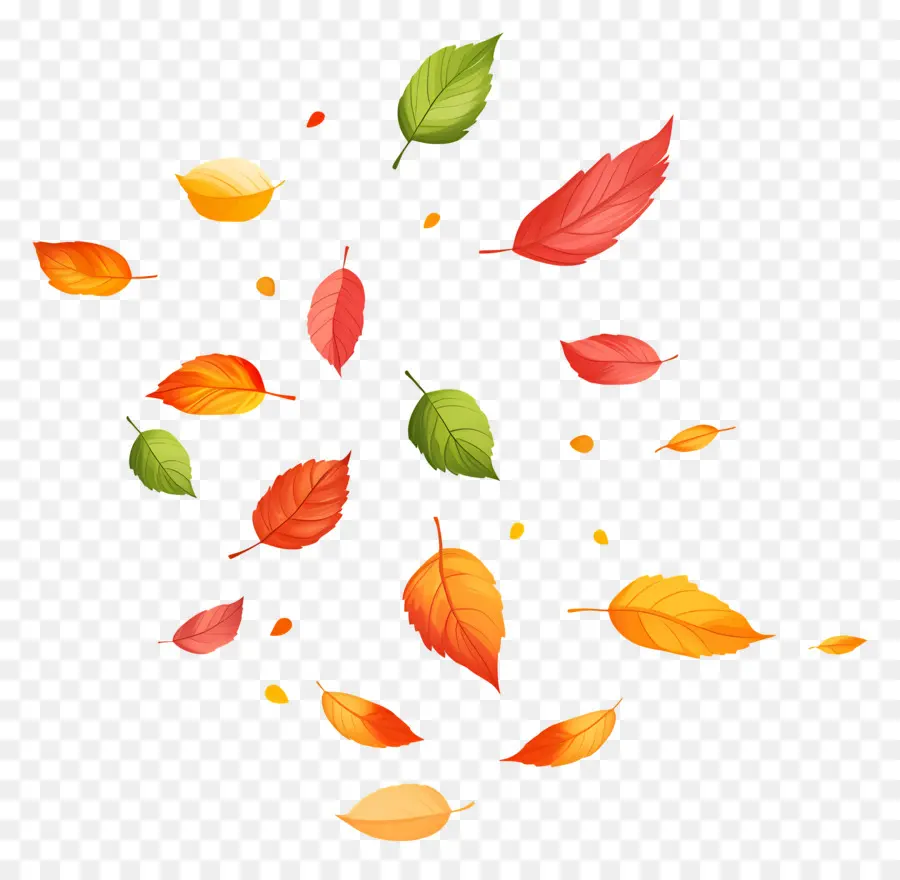 Hojas De Otoño，Hojas PNG