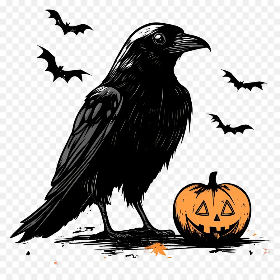 Cuervo De Halloween，Cuervo Negro PNG